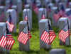veteransgraves.jpg (22197 bytes)